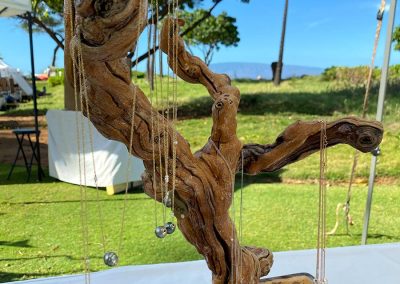 Kachi Inc at Maui's Finest Craft Fairs