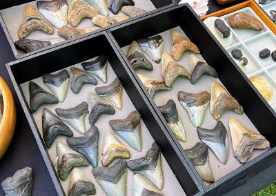 Whaler's Locker Inc. at Maui's Finest Craft Fairs